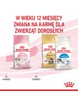 ROYAL CANIN  Kitten 10kg karma sucha dla kociąt od 4 do 12 miesiąca życia + Piłka dla kota GRATIS!