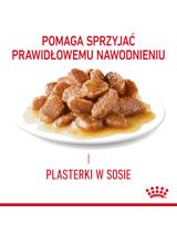 ROYAL CANIN Light  Weight Care12x85g karma mokra w sosie dla kotów dorosłych z tendencją do nadwagi + NIESPODZIANKA DLA KOTA GRATIS!!