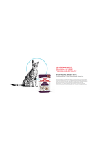ROYAL CANIN Sensory Feel/Taste/Smell 85g
