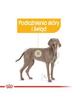 ROYAL CANIN CCN Maxi Dermacomfort 11,7kg karma sucha dla psów dorosłych, ras dużych, o wrażliwej skórze, skłonnej do podrażnień /Opakowanie uszkodzone (6102) !!!