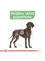 ROYAL CANIN CCN Maxi Digestive Care 3kg karma sucha dla psów dorosłych, ras dużych o wrażliwym przewodzie pokarmowym