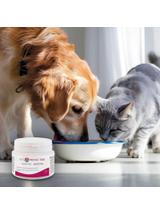 VET PROTECTOR® GASTRO – BIOTYK – multibiotyk dla psa i kota 60 g