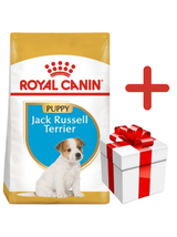 ROYAL CANIN Jack Russell Terrier Puppy 3kg karma sucha dla szczeniąt do 10 miesiąca, rasy jack russel terrier + NIESPODZIANKA DLA PSA GRATIS!!