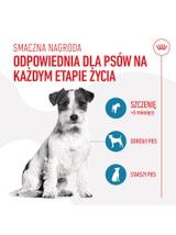 Royal Canin Training Treats 110g
