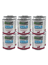 Farmina Vet Life Gastrointestinal Dog 12x300g