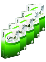 Cestal Cat tabletki na odrobaczanie kotów 10 tabletek