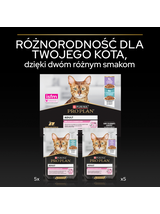 PRO PLAN Delicate Digestion Mokra karma dla kotów z indykiem i rybami oceanicznymi w sosie 10x85g