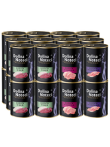 Dolina Noteci Premium dla kota mix smaków 24x400g