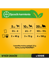 PEDIGREE Adult saszetka 12x100 g - Wybór Smaków z Warzywami w Sosie - mokra karma pełnoporcjowa dla dorosłych psów (kawałki bogate w kurczaka, kawałki bogate w mieszankę wołowiny i wątróbki, kawałki bogate w indyka)