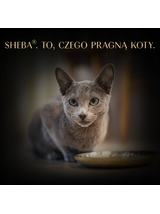 SHEBA Filets mokra karma dla kota z tuńczykiem w sosie 60g