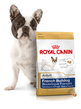 ROYAL CANIN French Bulldog Adult 9kg karma sucha dla psów dorosłych rasy bulldog francuski + niespodzianka dla psa GRATIS!