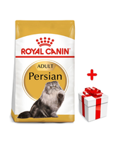 ROYAL CANIN Persian Adult 400g karma sucha dla kotów dorosłych rasy perskiej + niespodzianka dla kota GRATIS!