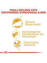 ROYAL CANIN Persian Adult 10kg karma sucha dla kotów dorosłych rasy perskiej + niespodzianka dla kota GRATIS!
