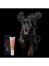DOG POWER SHOT® – preparat zwiększający sprawność fizyczną psów 16g