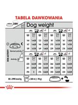 ROYAL CANIN CCN Medium Digestive Care 3kg karma sucha dla psów dorosłych, ras średnich o wrażliwym przewodzie pokarmowym + NIESPODZIANKA DLA PSA GRATIS!!