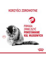 ROYAL CANIN  Hairball Care 12x85g karma mokra w sosie dla kotów dorosłych, eliminacja kul włosowych
