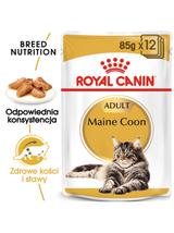 ROYAL CANIN Maine Coon Adult saszetka 12x85g (Sos)