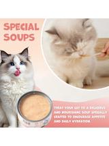 WILD FARM Special Soup 6x80g Appetite – aromatyczna zupka - wsparcie prawidłowego nawodnienia