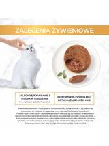 Purina Gourmet Gold pasztet z królikiem 48x85g