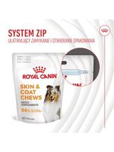 Royal Canin Supplements Skin and Coat Adult Dog  240g