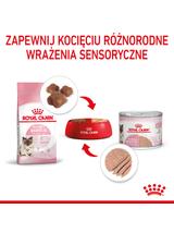 ROYAL CANIN®   Babycat Instinctive Mousse 195 g puszka karma mokra, mus dla kociąt od odsadzenia do 4 miesiąca życia