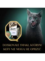 SHEBA Sauce Collection tacka 44x85g – mokra karma pełnoporcjowa dla dorosłych kotów, kawałki z cielęciną, w sosie