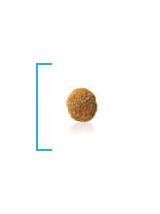 ROYAL CANIN Hypoallergenic Small Dog HSD24 3,5kg + niespodzianka dla psa GRATIS!