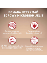 PURINA ONE Mini Active Kurczak, ryż - sucha karma dla psa - 800g /  / Opakowanie uszkodzone (8675) !!!