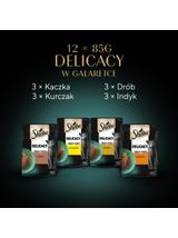 SHEBA Delicacy Drobiowe Smaki saszetki 12x85 g – mokra karma pełnoporcjowa dla dorosłych kotów, w galaretce (kawałki z: kaczką, kurczakiem, drobiem, indykiem)