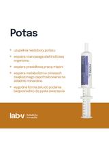 Lab-v Potas - Mieszanka Paszowa Uzupełniająco-dietetyczna Dla Krów Mlecznych Uzupełniająca Niedobór Potasu 100ml