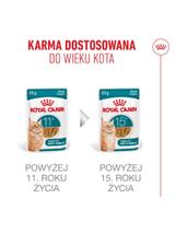 ROYAL CANIN mokra karma dla kotów, Senior Ageing 11+, sos12x85 g