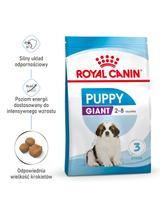 ROYAL CANIN Giant Puppy 15kg karma sucha dla szczeniąt, od 2 do 8 miesiąca życia, ras olbrzymich