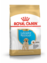 ROYAL CANIN Labrador Retriever Puppy 12kg + niespodzianka dla psa GRATIS!