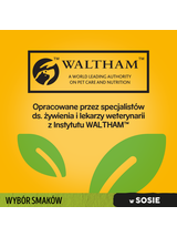 PEDIGREE Adult saszetka 12x100 g - Wybór Smaków z Warzywami w Sosie - mokra karma pełnoporcjowa dla dorosłych psów (kawałki bogate w kurczaka, kawałki bogate w mieszankę wołowiny i wątróbki, kawałki bogate w indyka)
