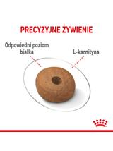 ROYAL CANIN CCN Medium Light Weight Care 12kg karma sucha dla psów dorosłych, ras średnich z tendencją do nadwagi