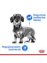 ROYAL CANIN CCN Light Weight Care 12x85g karma mokra - pasztet dla psów dorosłych z tendencją do nadwagi