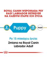 ROYAL CANIN Labrador Retriever Puppy 12kg karma sucha dla szczeniąt do 15 miesiąca, rasy labrador retriever/Opakowanie uszkodzone (5560,5478,7361)