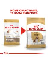 ROYAL CANIN Beagle Adult 12kg karma sucha dla psów dorosłych rasy beagle + niespodzianka dla psa GRATIS!