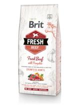 Brit Fresh Beef & Pumpkin Puppy Large Growth & Joints 12kg