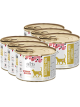 4Vets Cat Urinary Non-struvite 6x185g