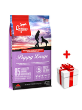 ORIJEN Dog Puppy Large 11,4kg + niespodzianka dla psa GRATIS!