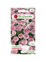 Stokrotka pospolita Pomponette - różowa