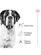 ROYAL CANIN Giant Adult 15kg karma sucha dla psów dorosłych, od 18/24 miesiąca życia, ras olbrzymich