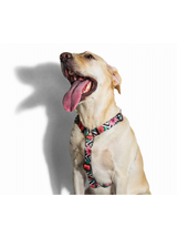 ZEE DOG Szelki dla psa Mahalo XS