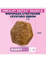 EUKANUBA Puppy&Junior Lamb&Rice Large Breeds 12kg