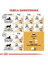 ROYAL CANIN Persian Adult 2kg karma sucha dla kotów dorosłych rasy perskiej