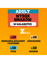 PEDIGREE® Adult Karma mokra dla psów dorosłych, Wybór Smaków w Galaretce, saszetka 80 x 100 g
