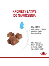 ROYAL CANIN  Mother&Babycat 4kg karma sucha dla kotek w okresie ciąży, laktacji i kociąt od 1 do 4 miesiąca życia + Royal Canin piłka dla kota GRATIS!!