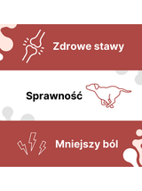 Lab-v Arthrohard 500ml Preparat na wsparcie stawów dla psa i kota