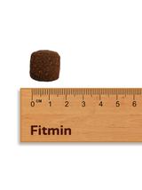 FITMIN For Life Junior Large Breeds 12kg